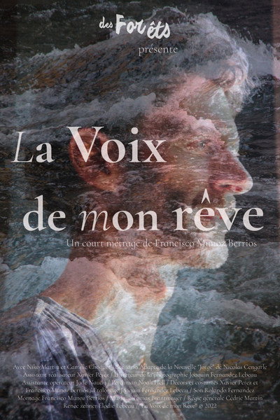 Póster de La voix de mon rêve