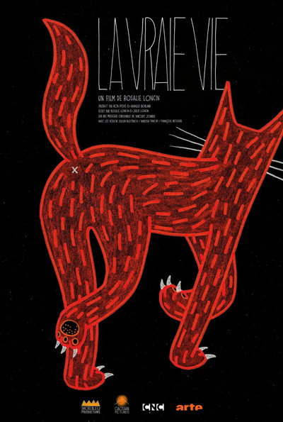 Póster de La vraie vie