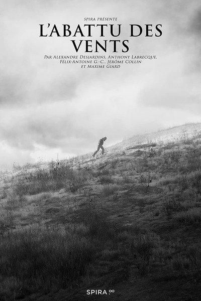 Póster de L'abattu des vents
