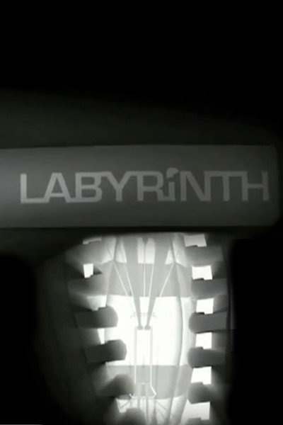 Póster de Labyrinth