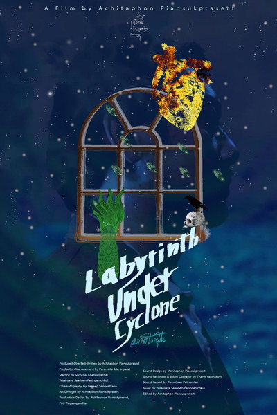 Póster de Labyrinth Under Cyclone