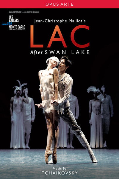 Póster de Lac after Swan Lake