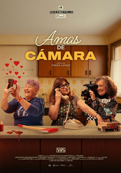 Póster de Ladies of the Lens