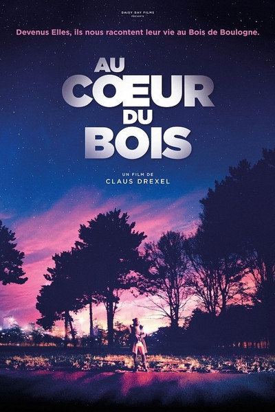 Póster de Ladies of the Wood