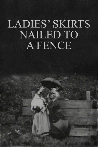 Póster de Ladies' Skirts Nailed to a Fence