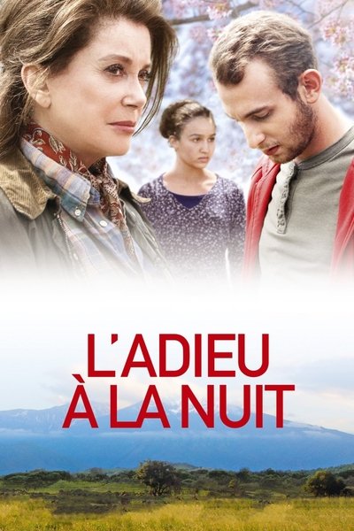 Póster de L'adieu à la nuit