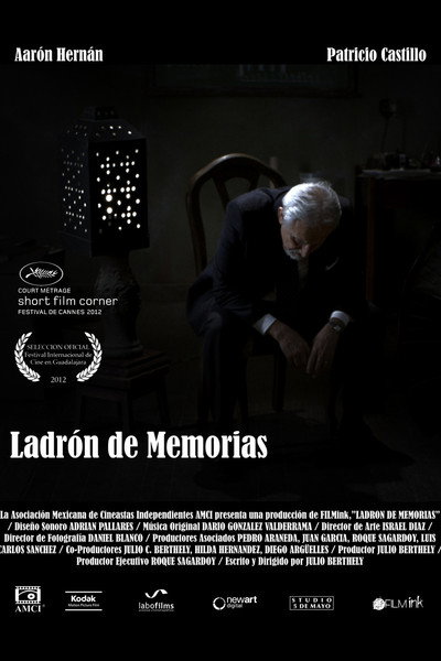 Póster de Ladrón de memorias