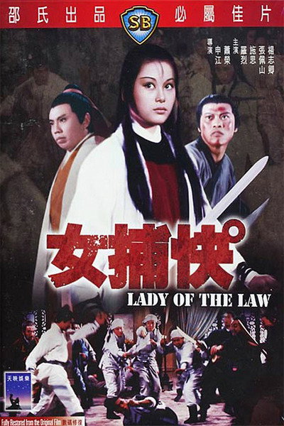 Póster de Lady of the Law