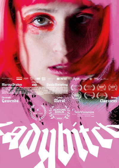 Póster de Ladybitch