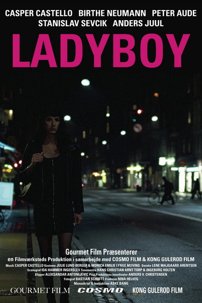 Póster de Ladyboy