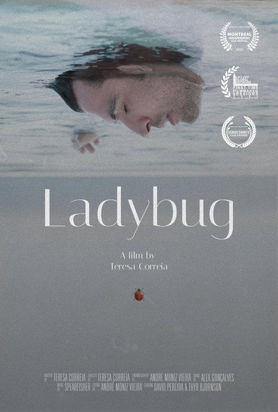 Póster de Ladybug