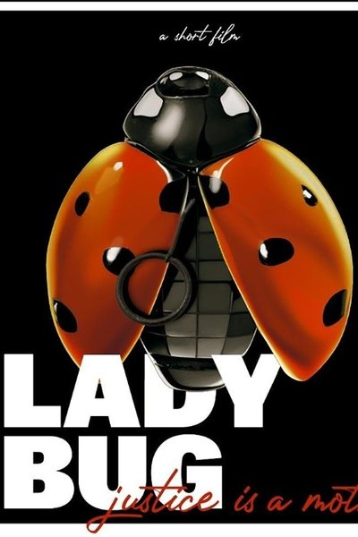 Póster de Ladybug