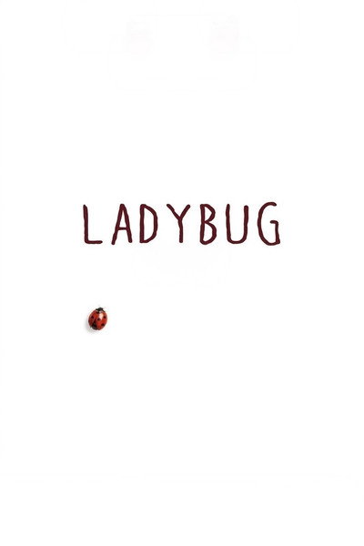 Póster de Ladybug