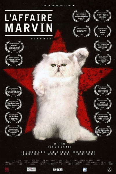 Póster de L'affaire Marvin