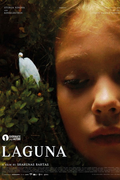 Póster de Laguna