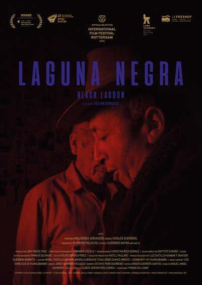 Póster de Laguna negra