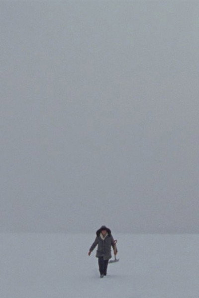 Póster de Lake