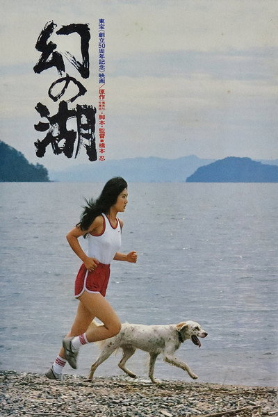 Póster de Lake of Illusions