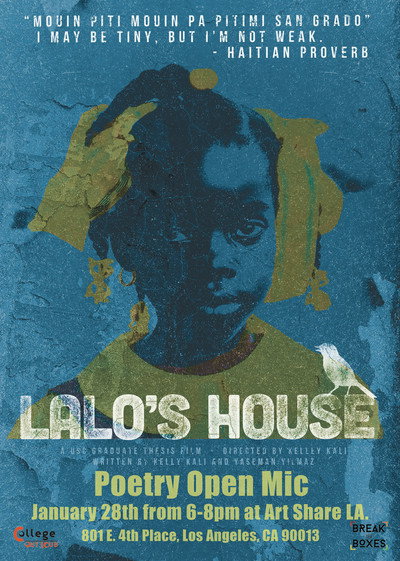 Póster de Lalo's House