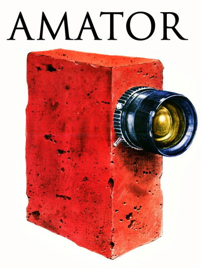 Póster de L'amateur
