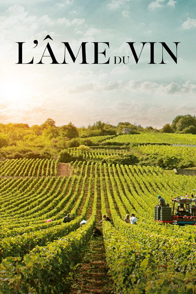 Póster de L'âme du vin