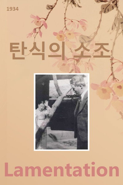 Póster de Lamentation