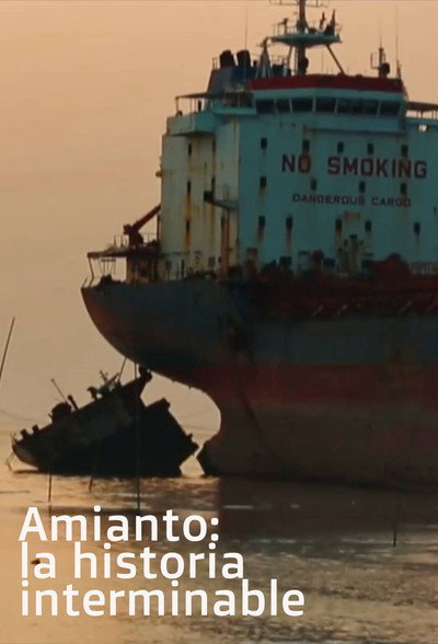 Póster de L'amiante, l'histoire sans fin
