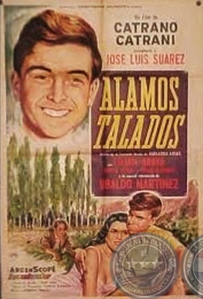 Póster de Álamos talados