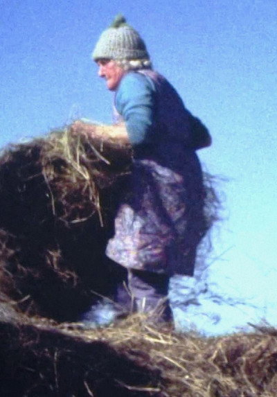 Póster de Land Makar