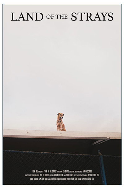 Póster de Land of the Strays