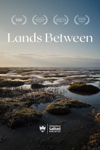 Póster de Lands Between