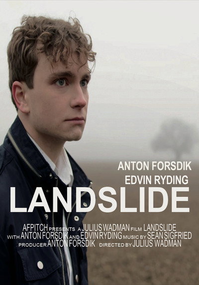 Póster de Landslide
