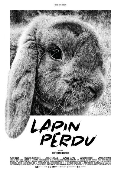 Póster de Lapin perdu