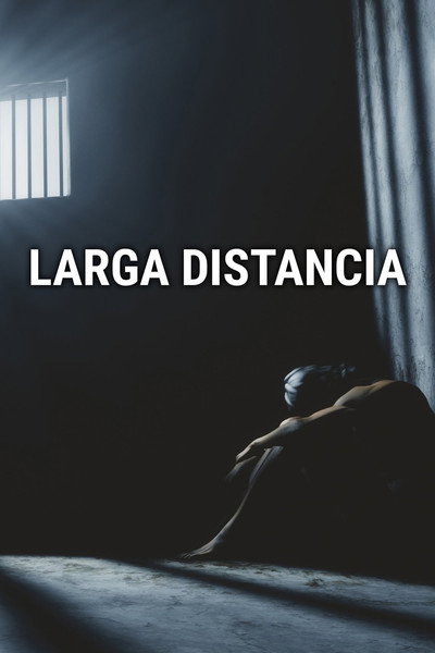 Póster de Larga distancia