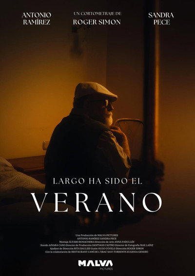 Póster de Largo ha sido el Verano
