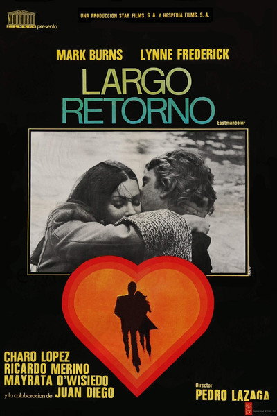 Póster de Largo retorno