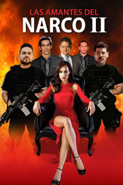 Póster de Las amantes del narco II