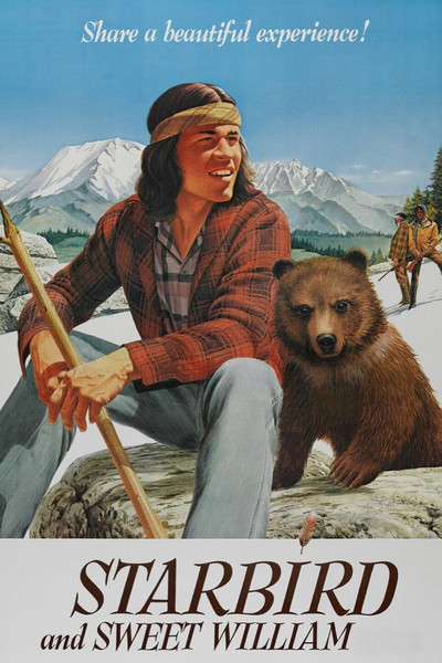 Póster de Las aventuras de un piel roja