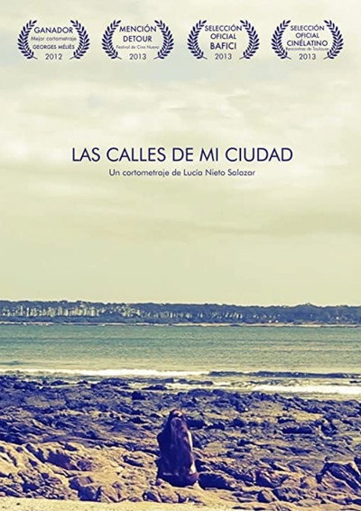 Póster de Las calles de mi ciudad