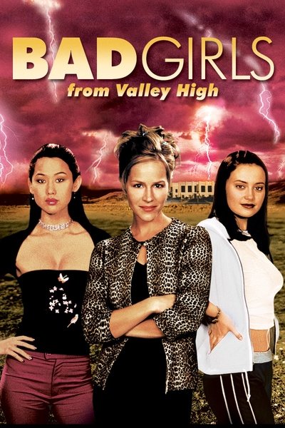 Póster de Las chicas malas del valle