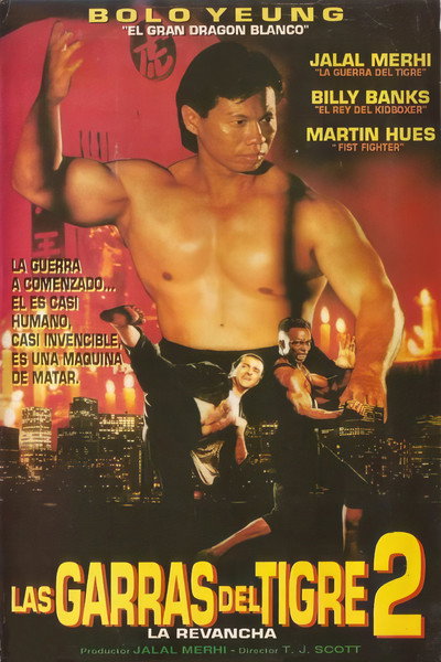 Póster de Las garras del tigre II