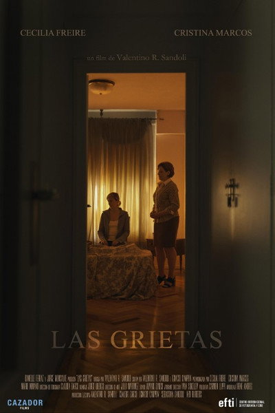 Póster de Las grietas