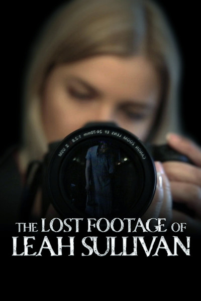 Póster de Las imágenes perdidas de Leah Sullivan