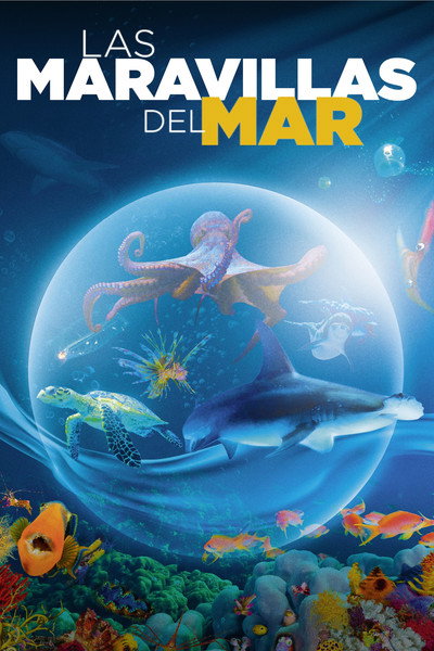 Póster de Las maravillas del mar