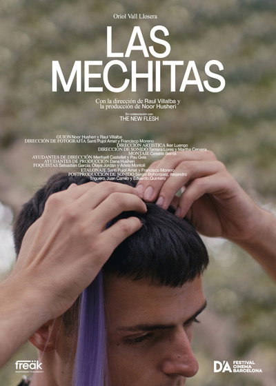 Póster de Las mechitas