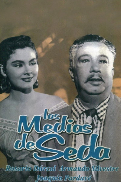 Póster de Las medias de seda