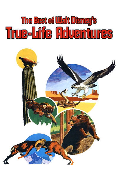 Póster de Las mejores aventuras de la naturaleza de Walt Disney