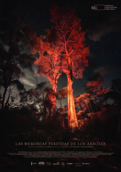 Póster de Las memorias perdidas de los árboles