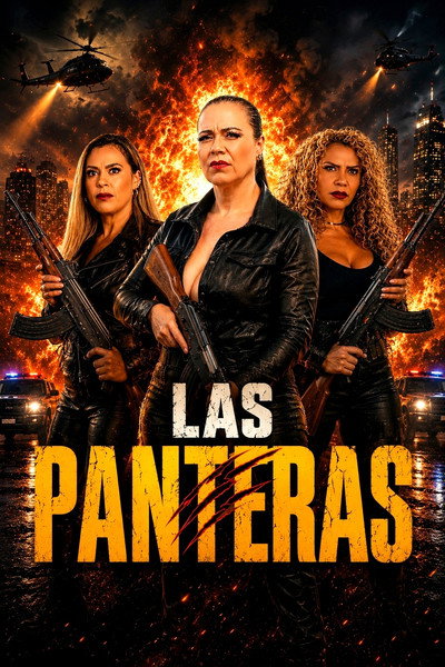 Póster de Las Panteras