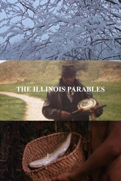 Póster de Las parabolas de Illinois